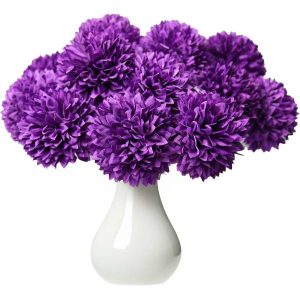 Chrysanthemum Flowers